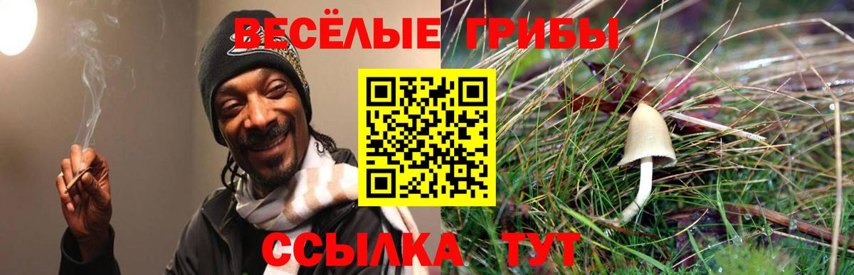 Псилоцибиновые грибы Psilocybine cubensis  Вход с VPN  Нерюнгри 